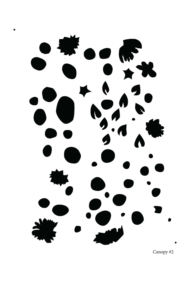 Canopytwo 28x35.5 24x31.5